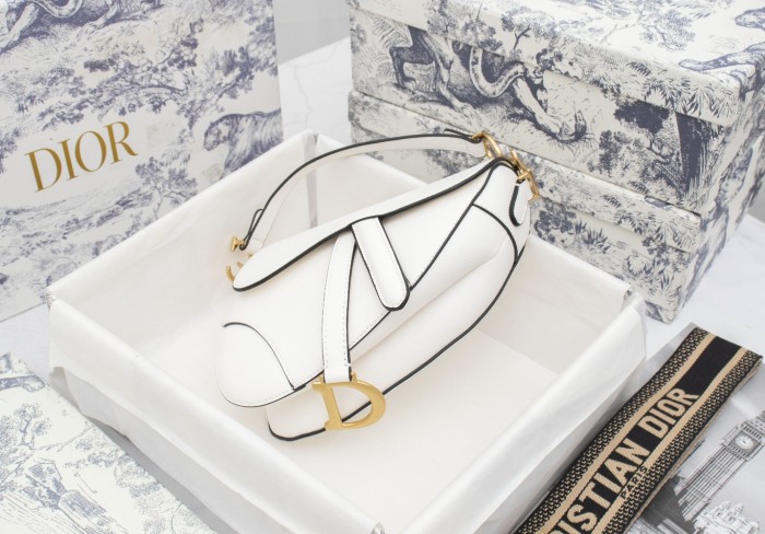 Dior Saddle bag Grained 19.5cm 6666
