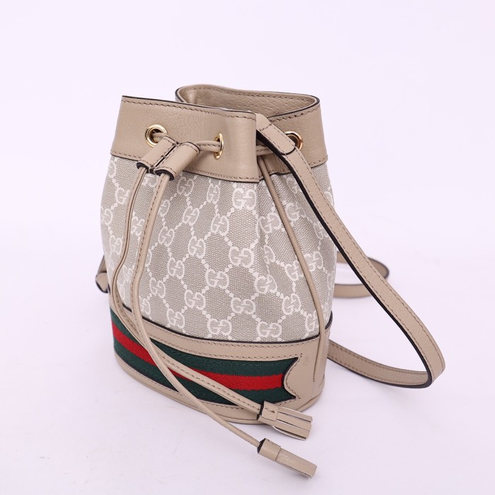 GUCCI bucket bag 550620