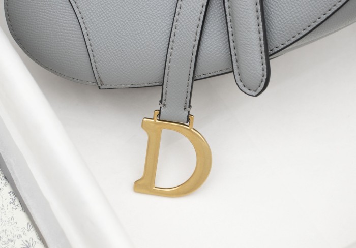 Dior Saddle bag Grained 19.5cm 6666