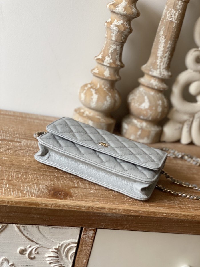 Top quality Chanel WOC 19cm 0250