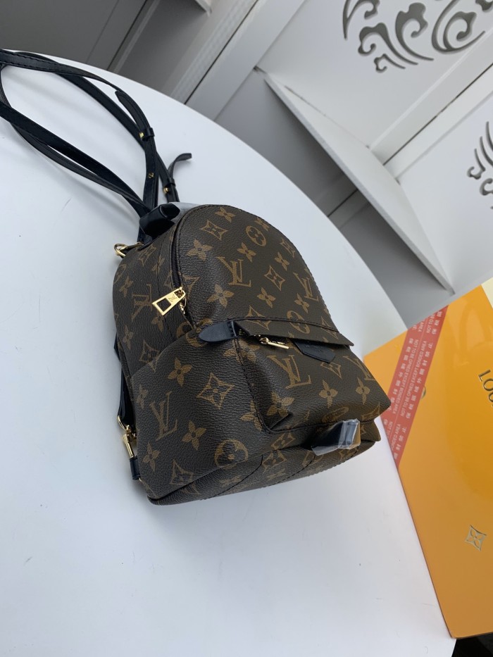 Louis Vuitton PALM SPRINGS MINI PM MM