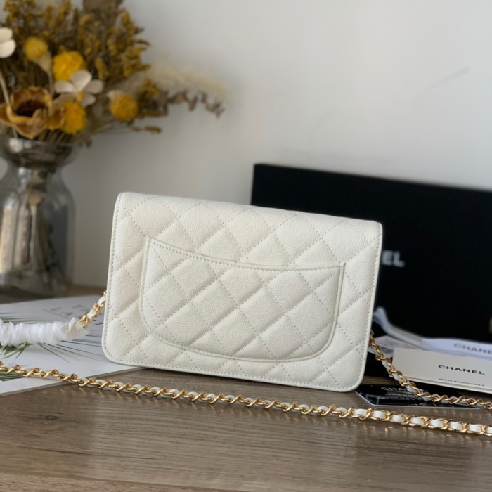 Top quality Chanel WOC 19cm 0250