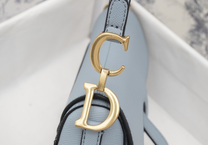 Dior Saddle bag Grained 19.5cm 6666