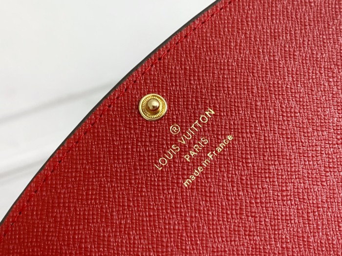 LV60136HY06 19CM