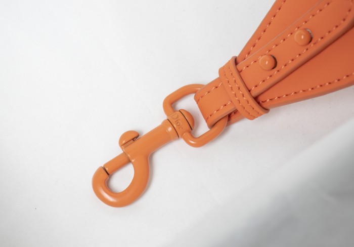 Dior Saddle bag 25.5cm XB6680