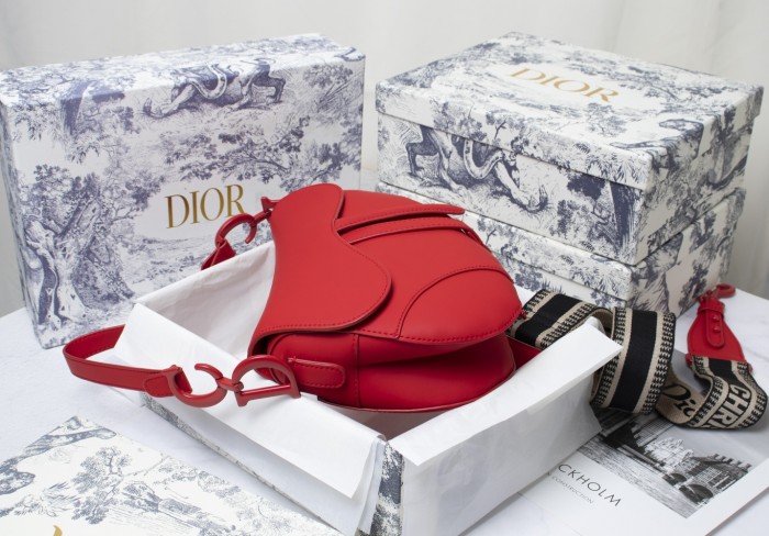 Dior Saddle bag 25.5cm XB6680