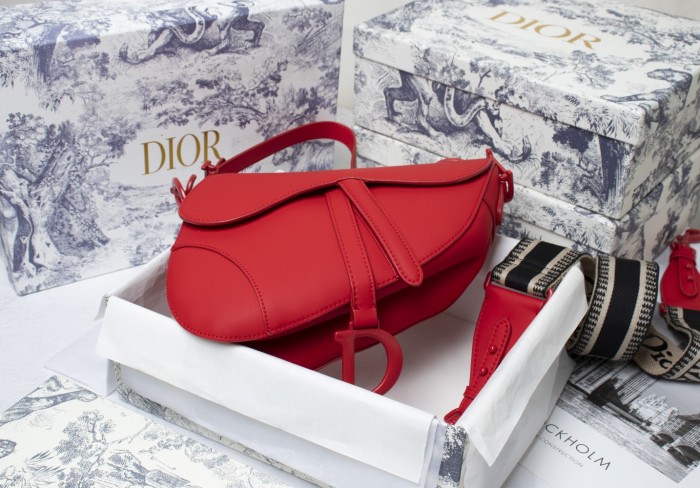 Dior Saddle bag 25.5cm XB6680