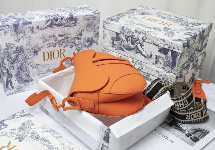 Dior Saddle bag 25.5cm XB6680