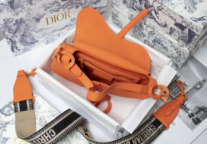 Dior Saddle bag 25.5cm XB6680
