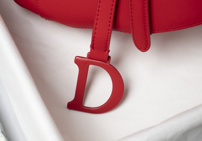 Dior Saddle bag 25.5cm XB6680