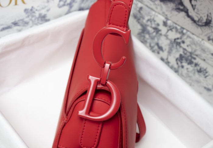 Dior Saddle bag 25.5cm XB6680