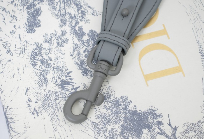 Dior Saddle bag 25.5cm XB6680