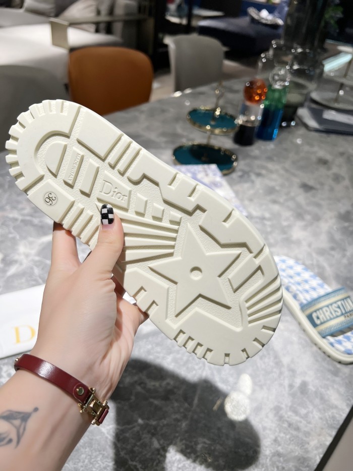 Dior shoes 007 XM 091