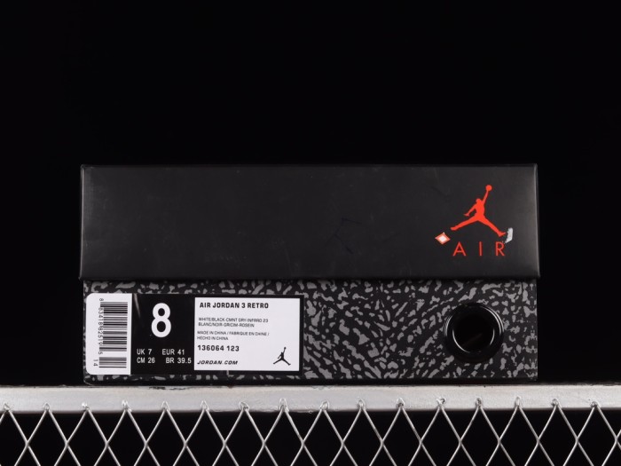 Air Jordan 3 shoes XM 063 02