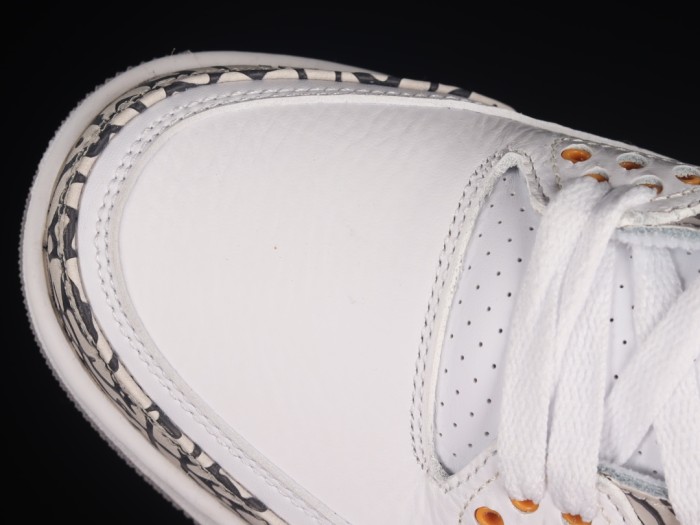 Air Jordan 3 shoes XM 063 01