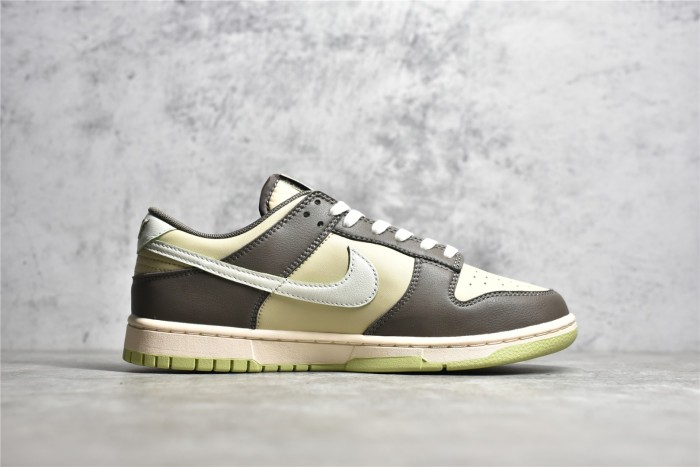 NK Dunk Low Velcro Tongue FB4960-210