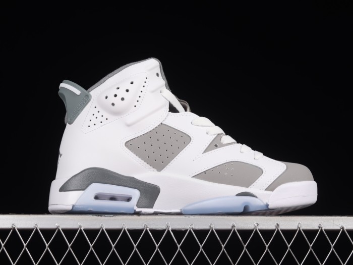 Air Jordan 6 Cool Grey AJ6 CT8529-100 XM083