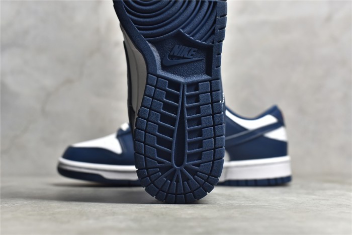 NK Dunk LOW Retro Valerian Blue DD1391-400 XM072