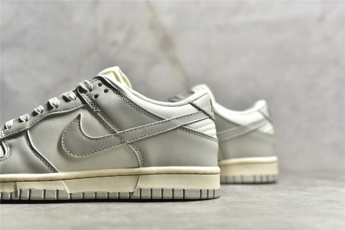 NK Dunk LOW DD1503-107 XM072