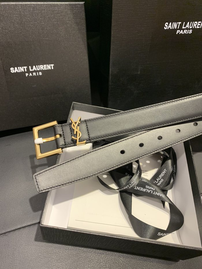 YSL Belt 001 22PJ081 3cm