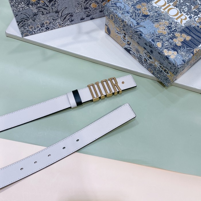 Dior Belt 005 22PJ071 3cm