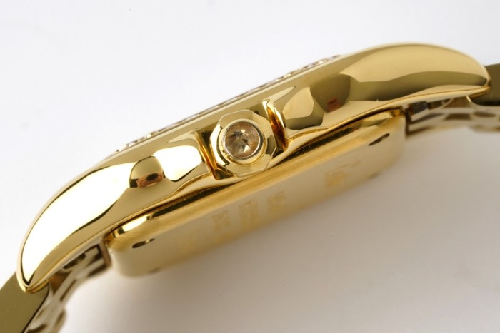 Panthère de Cartier 22*30mm