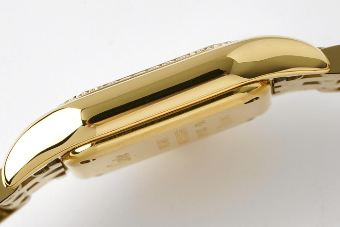 Panthère de Cartier 22*30mm