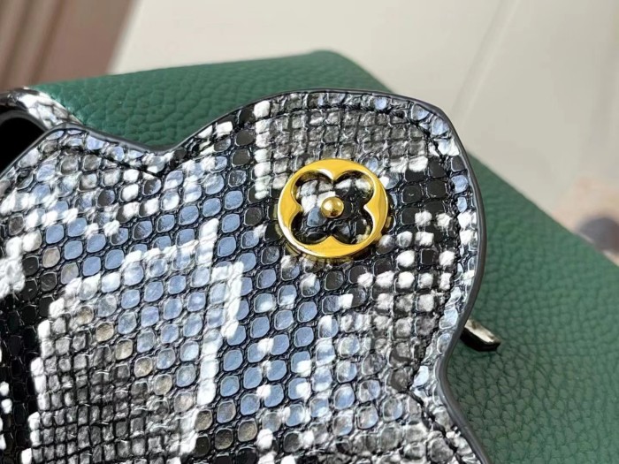 LV Capucines Bag M95508 M95509 LM012032 21-27cm