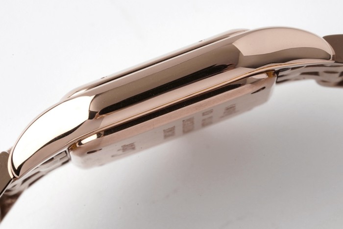 Panthère de Cartier 22*30mm