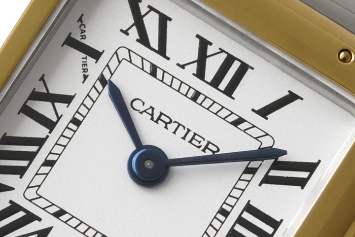 Panthère de Cartier 22*30mm
