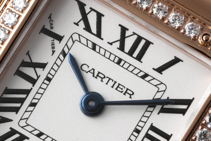 Panthère de Cartier 22*30mm