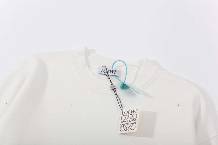 Loewe Knitwear 007