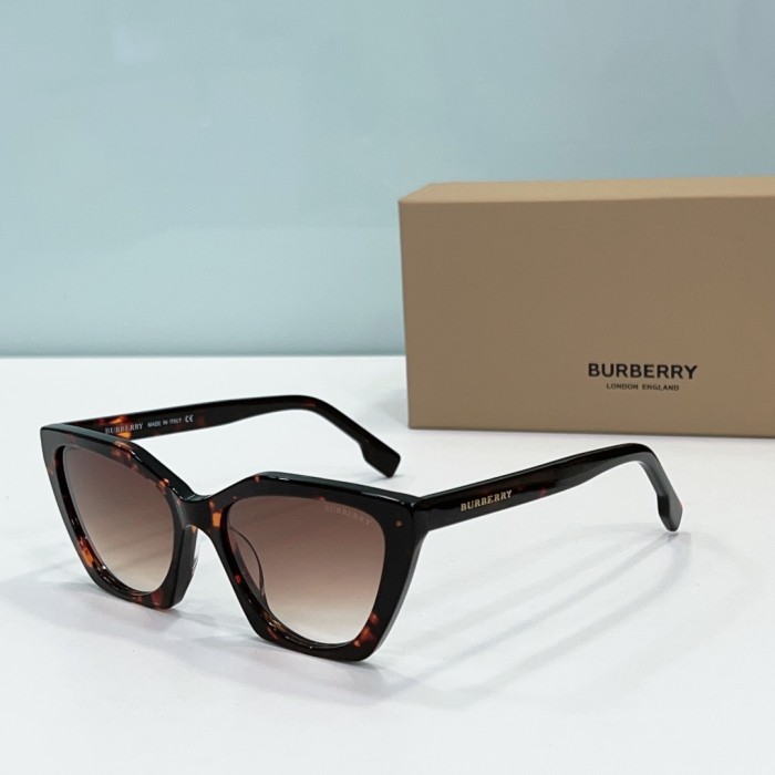 Burberry Sunglasses BB2394 SM021