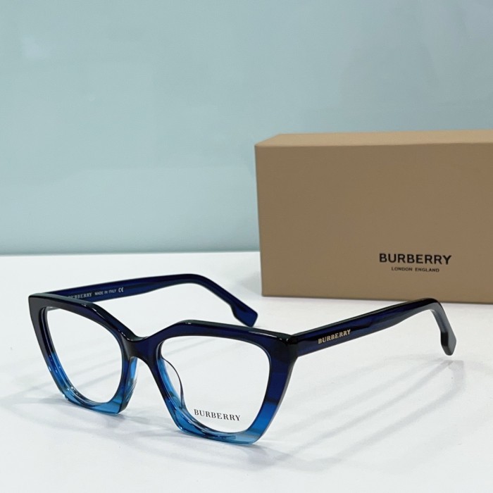 Burberry Sunglasses BB2394 SM501