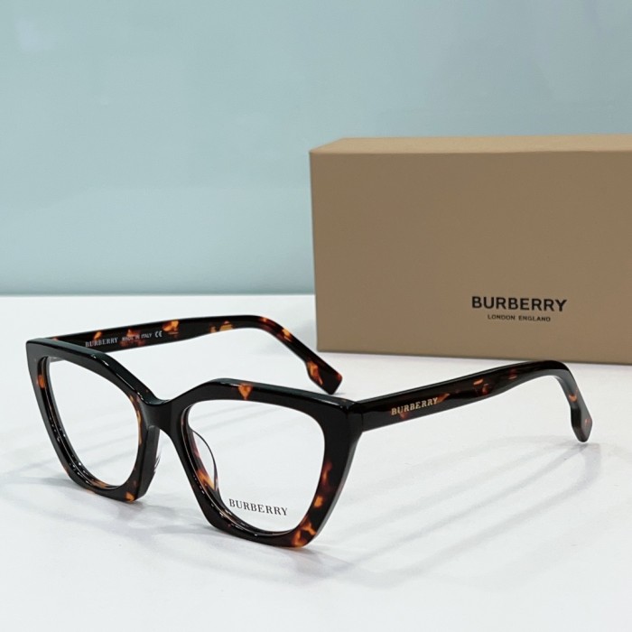 Burberry Sunglasses BB2394 SM501