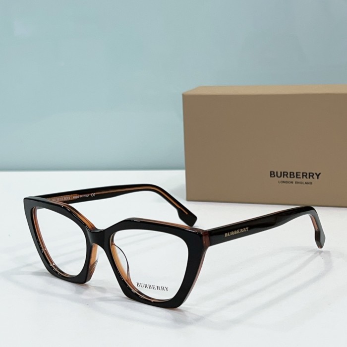 Burberry Sunglasses BB2394 SM501