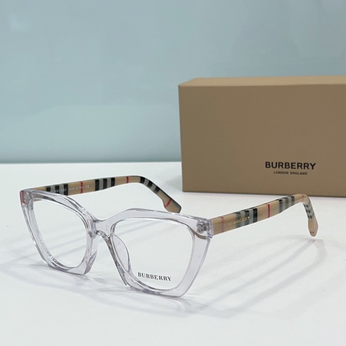 Burberry Sunglasses BB2394 SM501