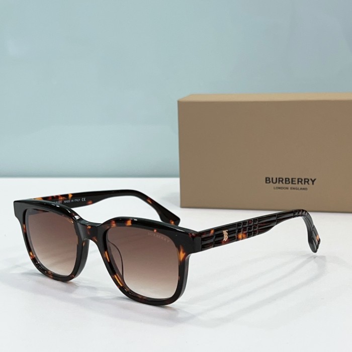Burberry Sunglasses BE4382D SM021
