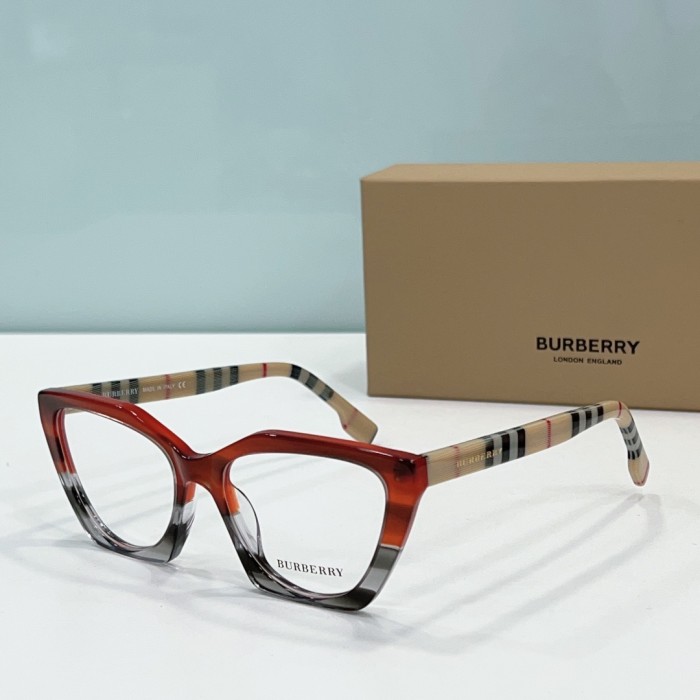 Burberry Sunglasses BB2394 SM501