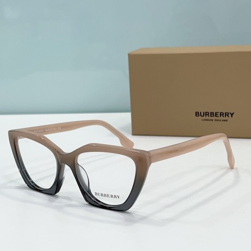 Burberry Sunglasses BB2394 SM501