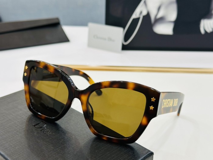 Dior Sunglasses CD5288 SM051