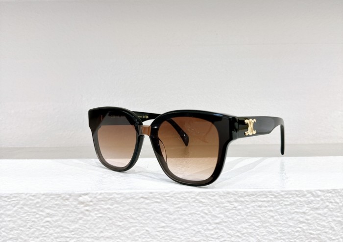 Celine Sunglasses CL42094U SM051