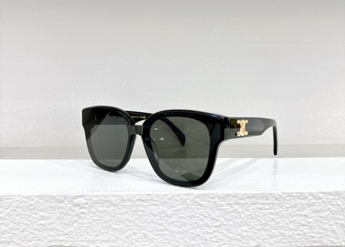 Celine Sunglasses CL42094U SM051