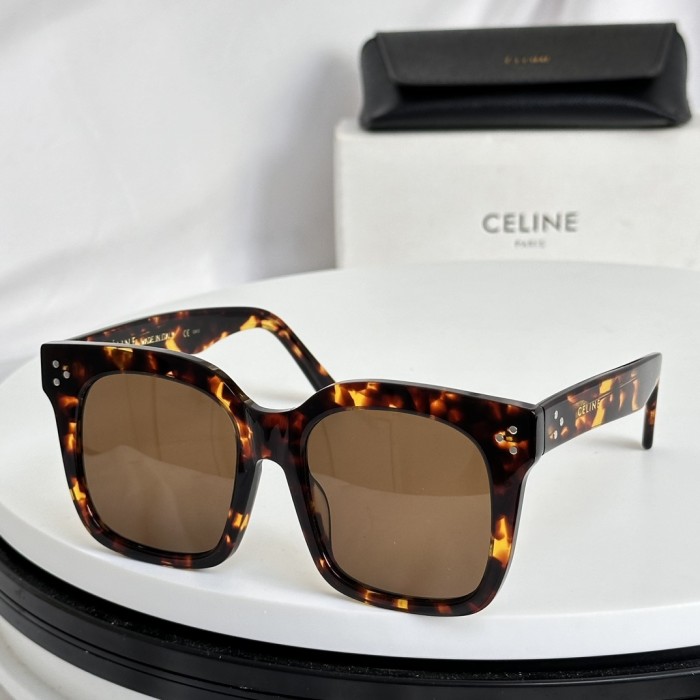 Celine Sunglasses CL41076 SM021