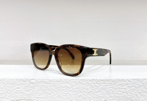Celine Sunglasses CL42094U SM051