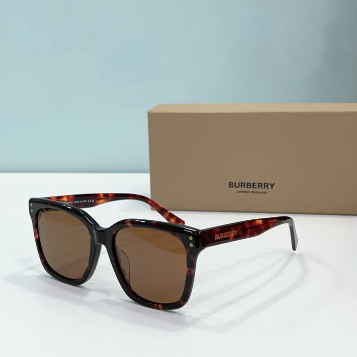 Burberry Sunglasses BE4421U SM021