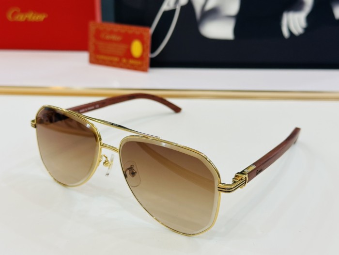 Cartier Sunglasses CT0385 SM051