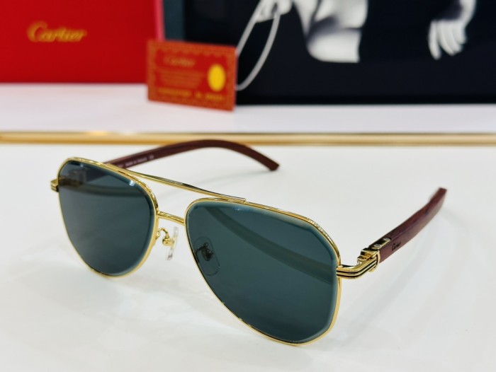 Cartier Sunglasses CT0385 SM051