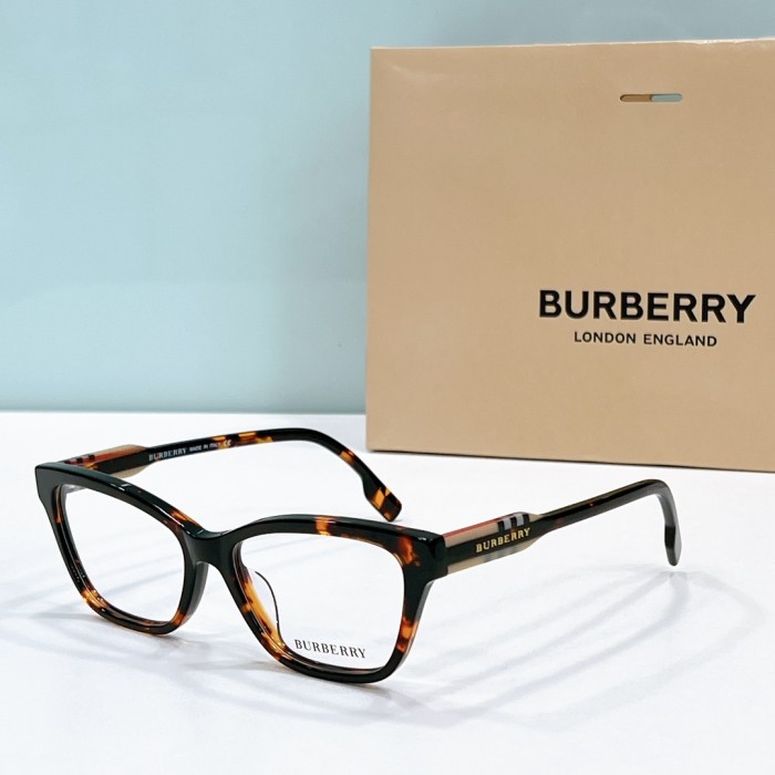 Burberry Sunglasses BE4420 SM501