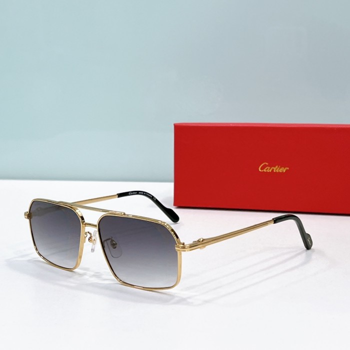 Cartier Sunglasses CA1203 SM021